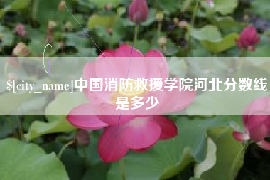 邵阳县中国消防救援学院河北分数线是多少