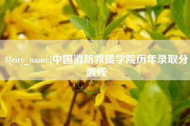 邵阳县中国消防救援学院历年录取分数线