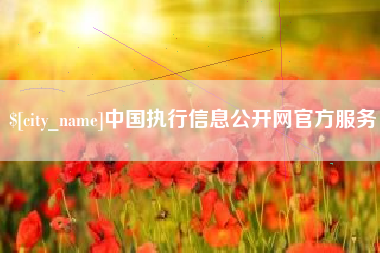 邵阳县中国执行信息公开网官方服务