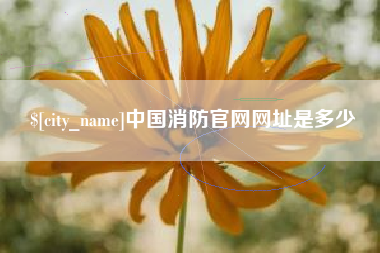 邵阳县中国消防官网网址是多少