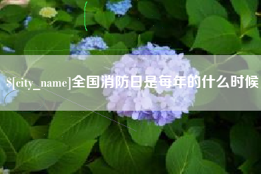 邵阳县全国消防日是每年的什么时候