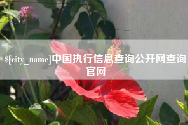 邵阳县中国执行信息查询公开网查询官网