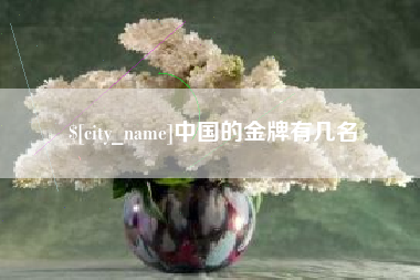 邵阳县中国的金牌有几名