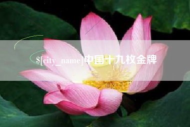 邵阳县中国十九枚金牌