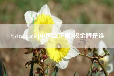 邵阳县中国拿下第9枚金牌是谁