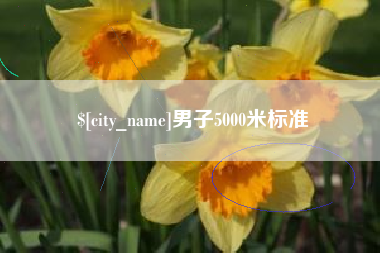 邵阳县男子5000米标准