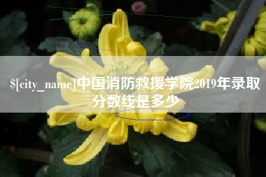 邵阳县中国消防救援学院2019年录取分数线是多少