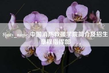 邵阳县中国消防救援学院简介及招生章程指挥部