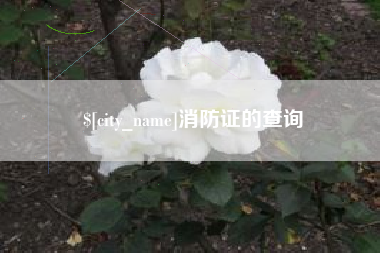 邵阳县消防证的查询