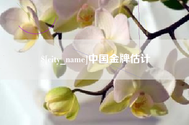 邵阳县中国金牌估计