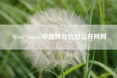 邵阳县中国执行信息公开网网