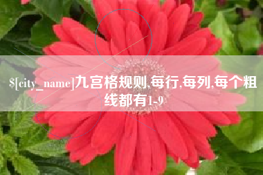 邵阳县九宫格规则,每行,每列,每个粗线都有1-9