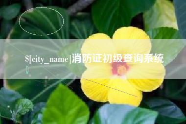邵阳县消防证初级查询系统