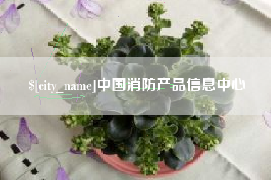 邵阳县中国消防产品信息中心