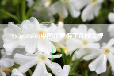 邵阳县中国金牌得了几枚金牌