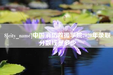 邵阳县中国消防救援学院2020年录取分数线是多少