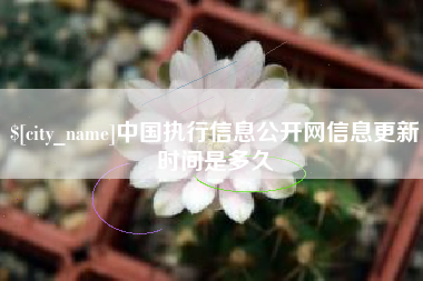 邵阳县中国执行信息公开网信息更新时间是多久