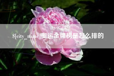 邵阳县奥运金牌榜是怎么排的