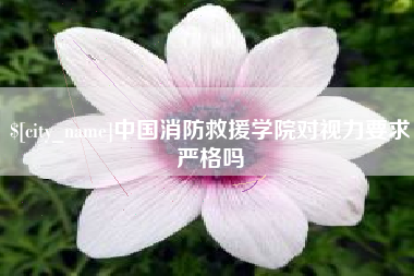 邵阳县中国消防救援学院对视力要求严格吗