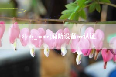 邵阳县消防设备ccc认证
