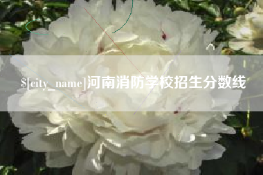 邵阳县河南消防学校招生分数线