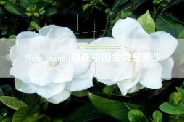 邵阳县现在中国金牌是多少