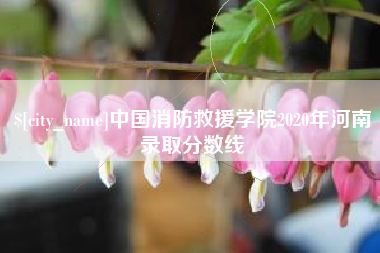 邵阳县中国消防救援学院2020年河南录取分数线