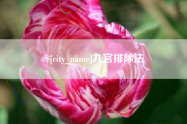邵阳县九宫排除法