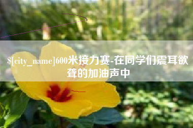 邵阳县600米接力赛-在同学们震耳欲聋的加油声中
