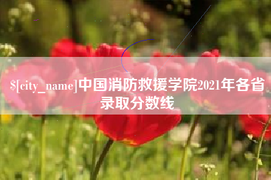 邵阳县中国消防救援学院2021年各省录取分数线