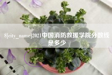 邵阳县2021中国消防救援学院分数线是多少