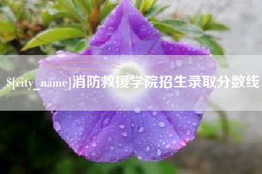 邵阳县消防救援学院招生录取分数线