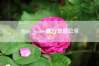 邵阳县执行信息公示