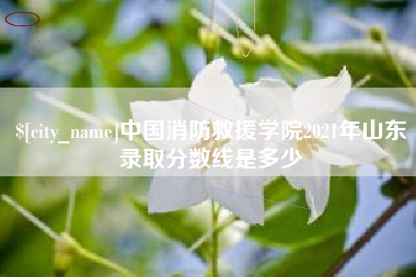 邵阳县中国消防救援学院2021年山东录取分数线是多少
