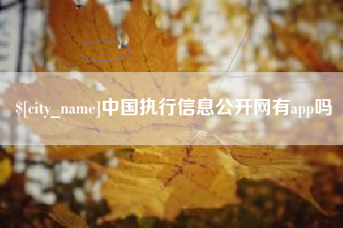 邵阳县中国执行信息公开网有app吗