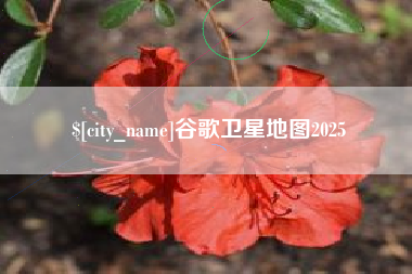 邵阳县谷歌卫星地图2025