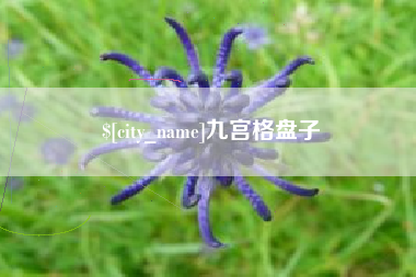 邵阳县九宫格盘子