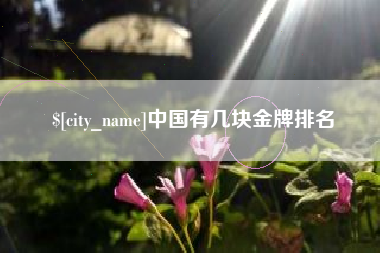 邵阳县中国有几块金牌排名