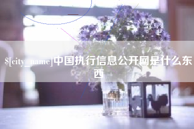 邵阳县中国执行信息公开网是什么东西