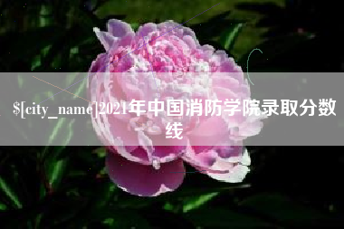 邵阳县2021年中国消防学院录取分数线