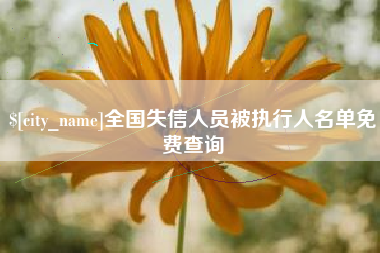 邵阳县全国失信人员被执行人名单免费查询