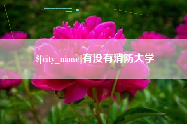 邵阳县有没有消防大学