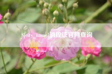 邵阳县消控证官网查询