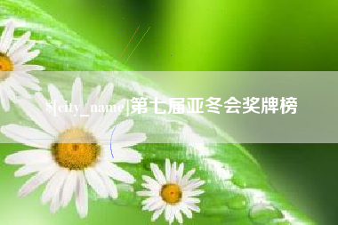 邵阳县第七届亚冬会奖牌榜