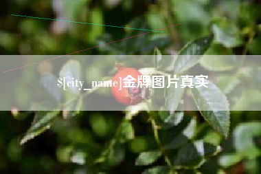 邵阳县金牌图片真实