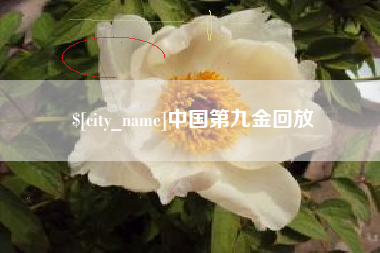 邵阳县中国第九金回放