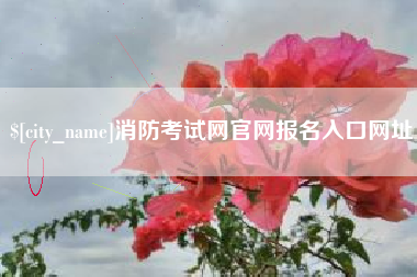 邵阳县消防考试网官网报名入口网址