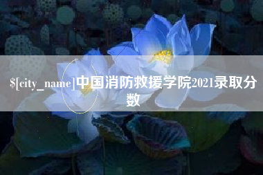 邵阳县中国消防救援学院2021录取分数