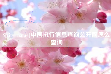 邵阳县中国执行信息查询公开网怎么查询