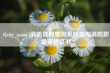 邵阳县消防官网查询系统查询消防职业资格证书